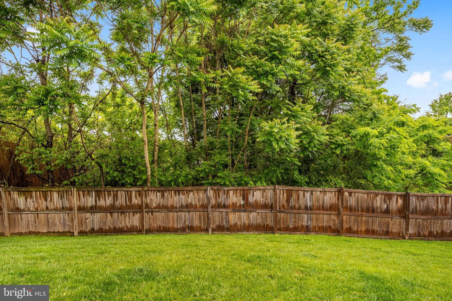 151 Deacon Road photo 37