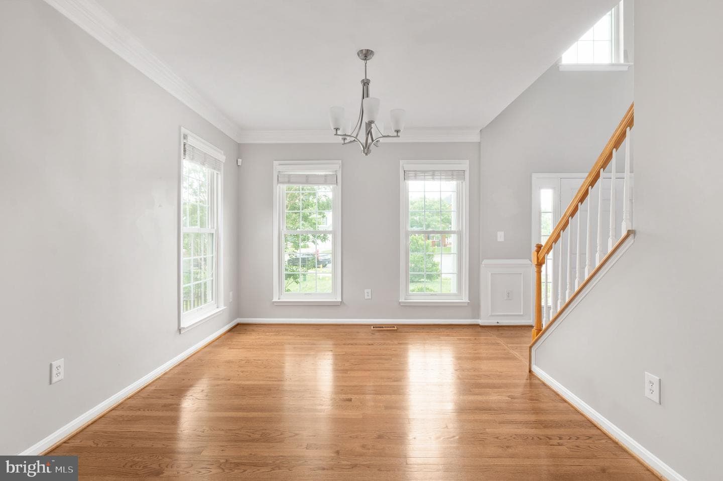 18 Birney Court photo 16