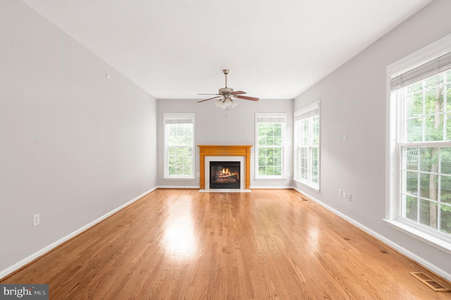 18 Birney Court photo 32