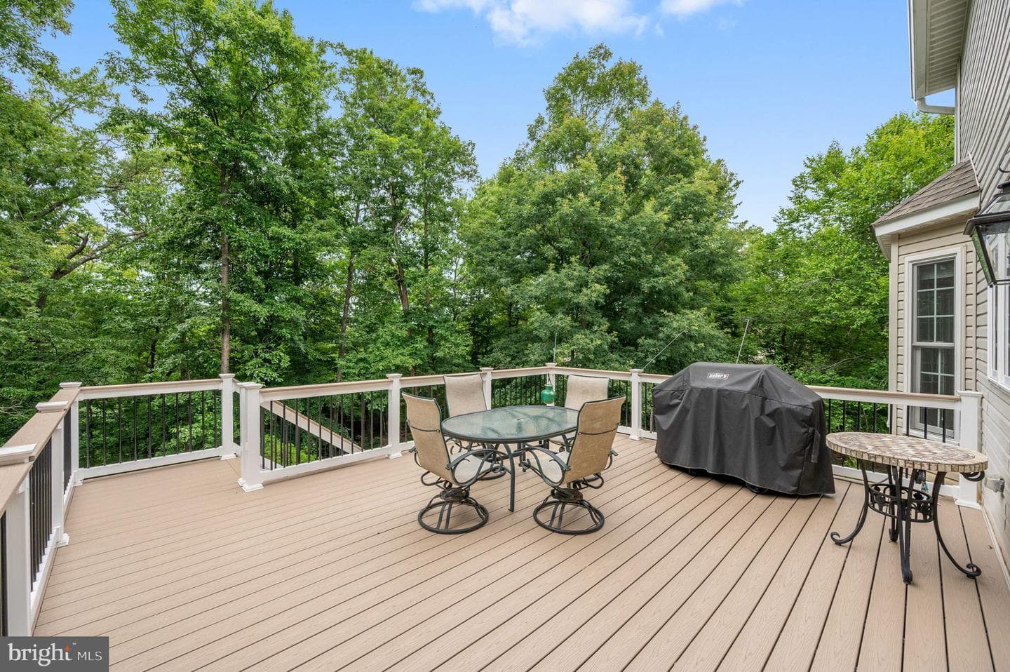 18 Birney Court photo 61