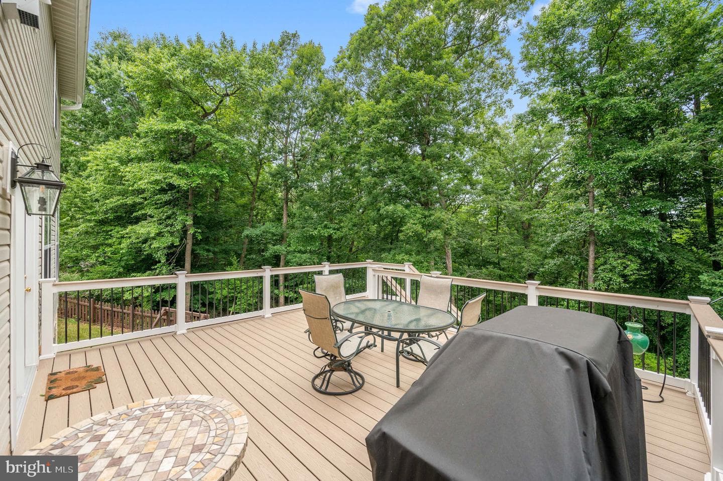 18 Birney Court photo 63