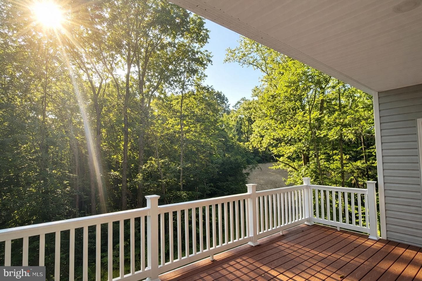 163 Norman Road photo 4