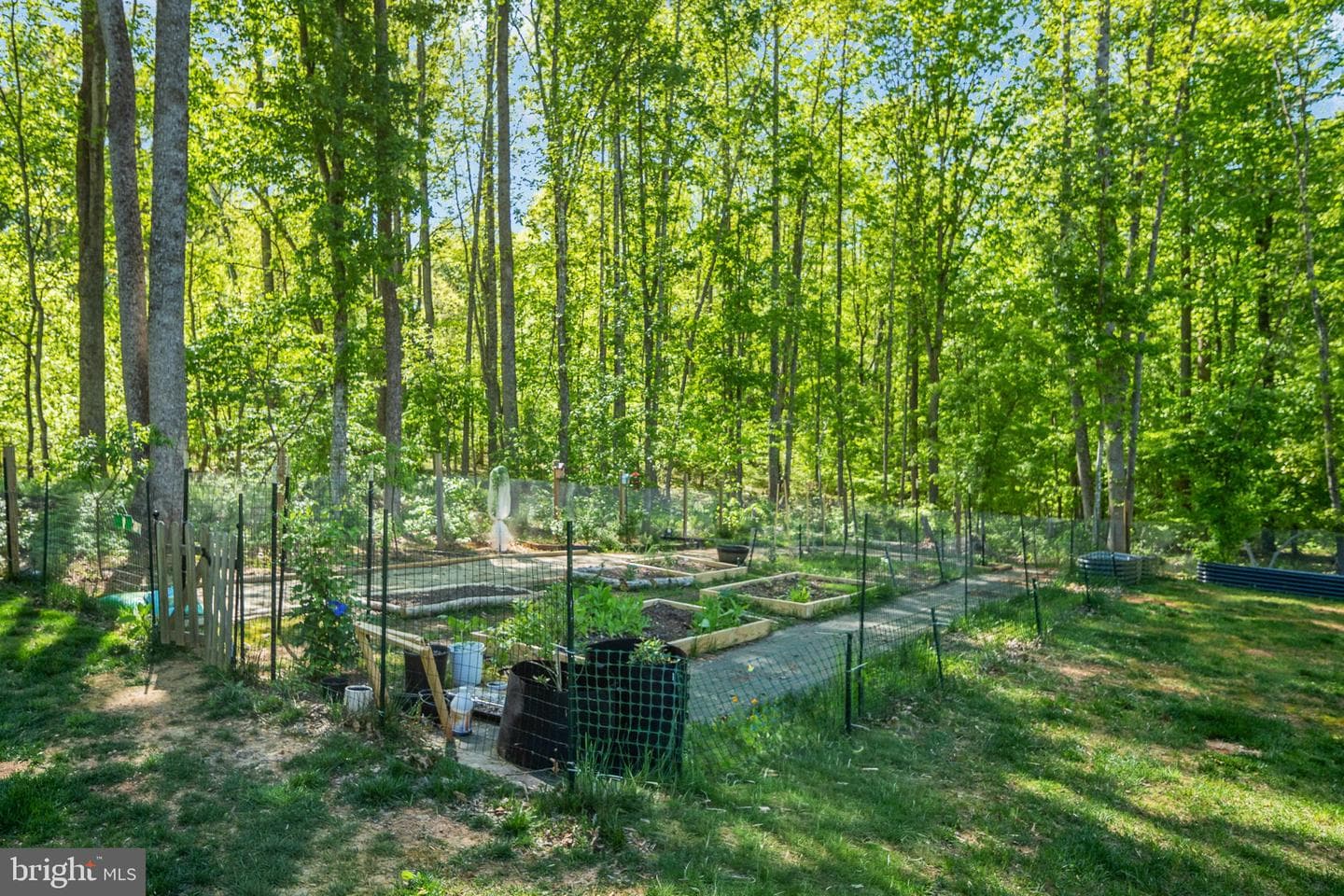 52 Acorn Ridge Court photo 87