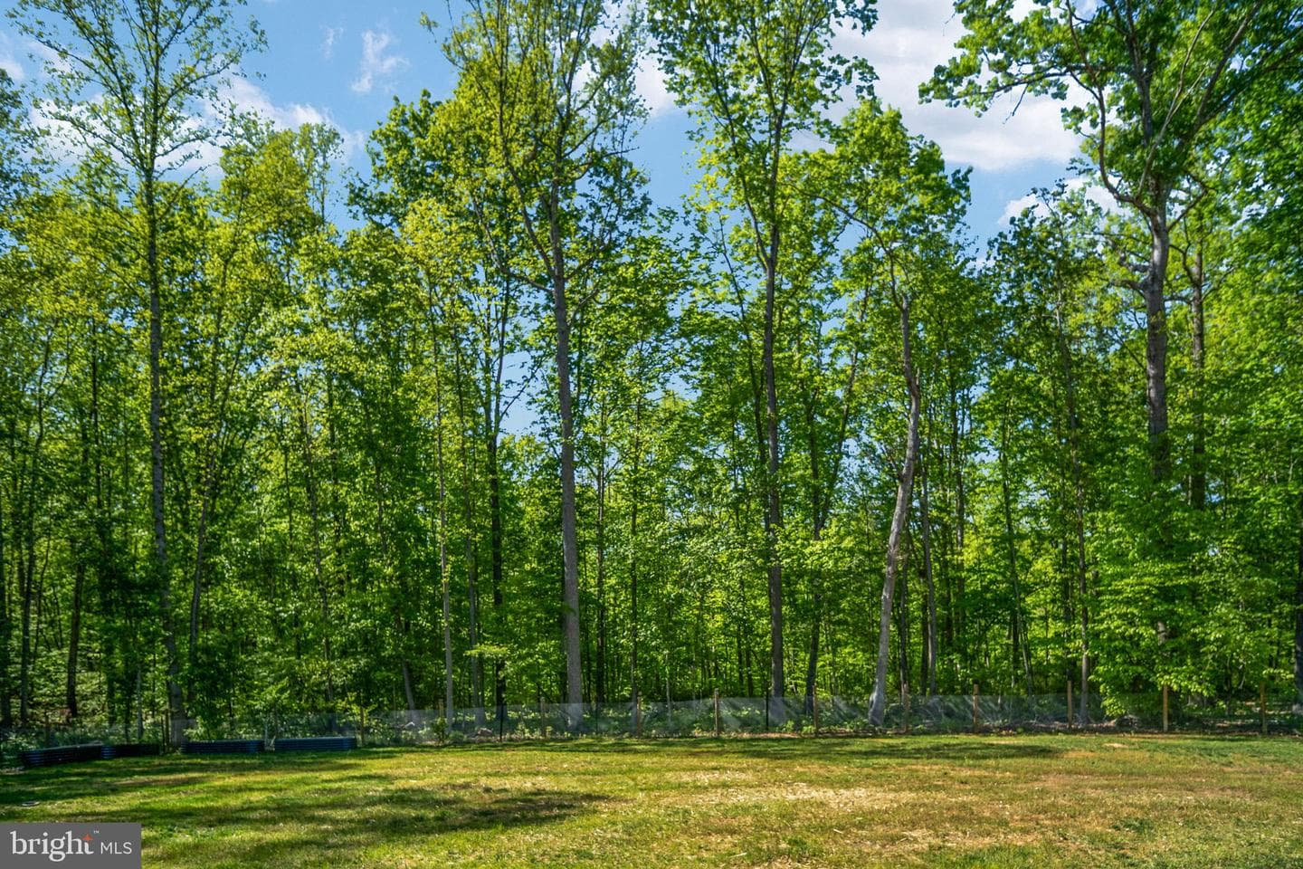 52 Acorn Ridge Court photo 88
