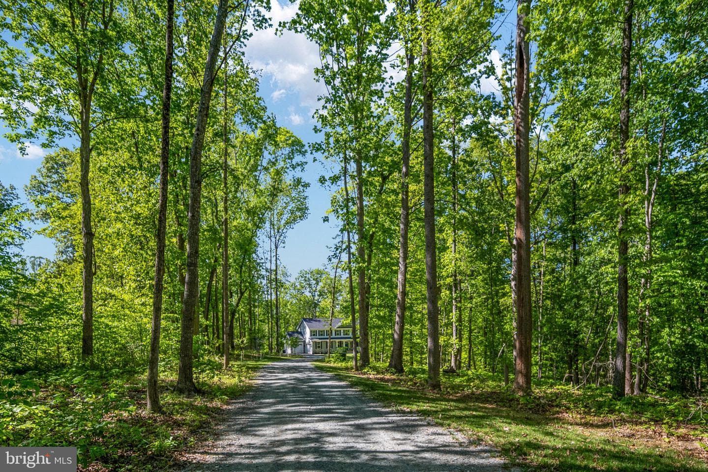 52 Acorn Ridge Court photo 90