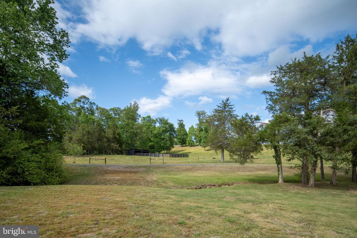 145 Forest Lane Road photo 100