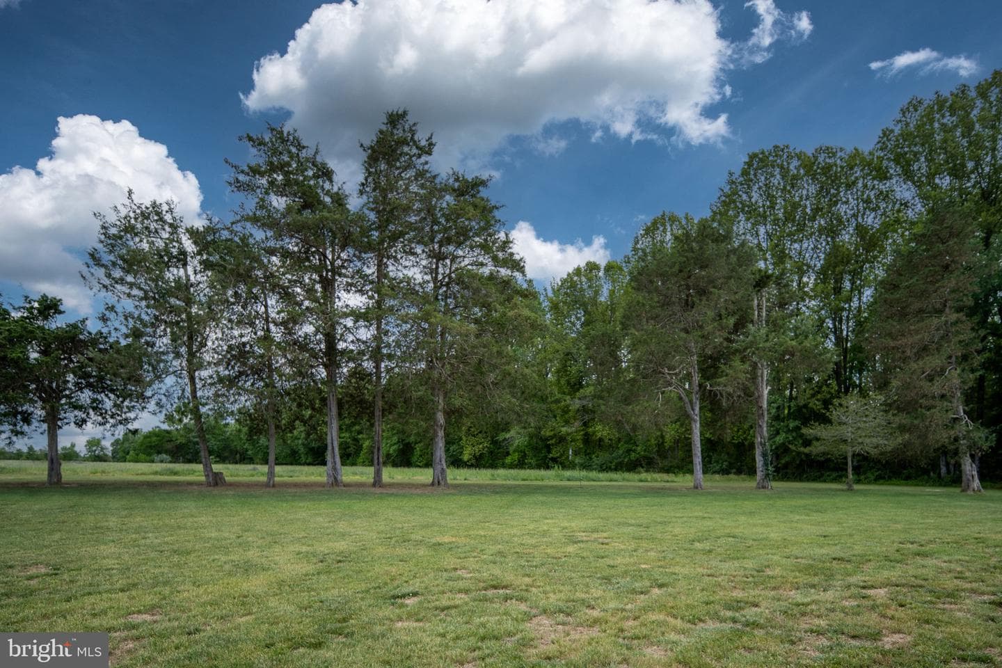 145 Forest Lane Road photo 97