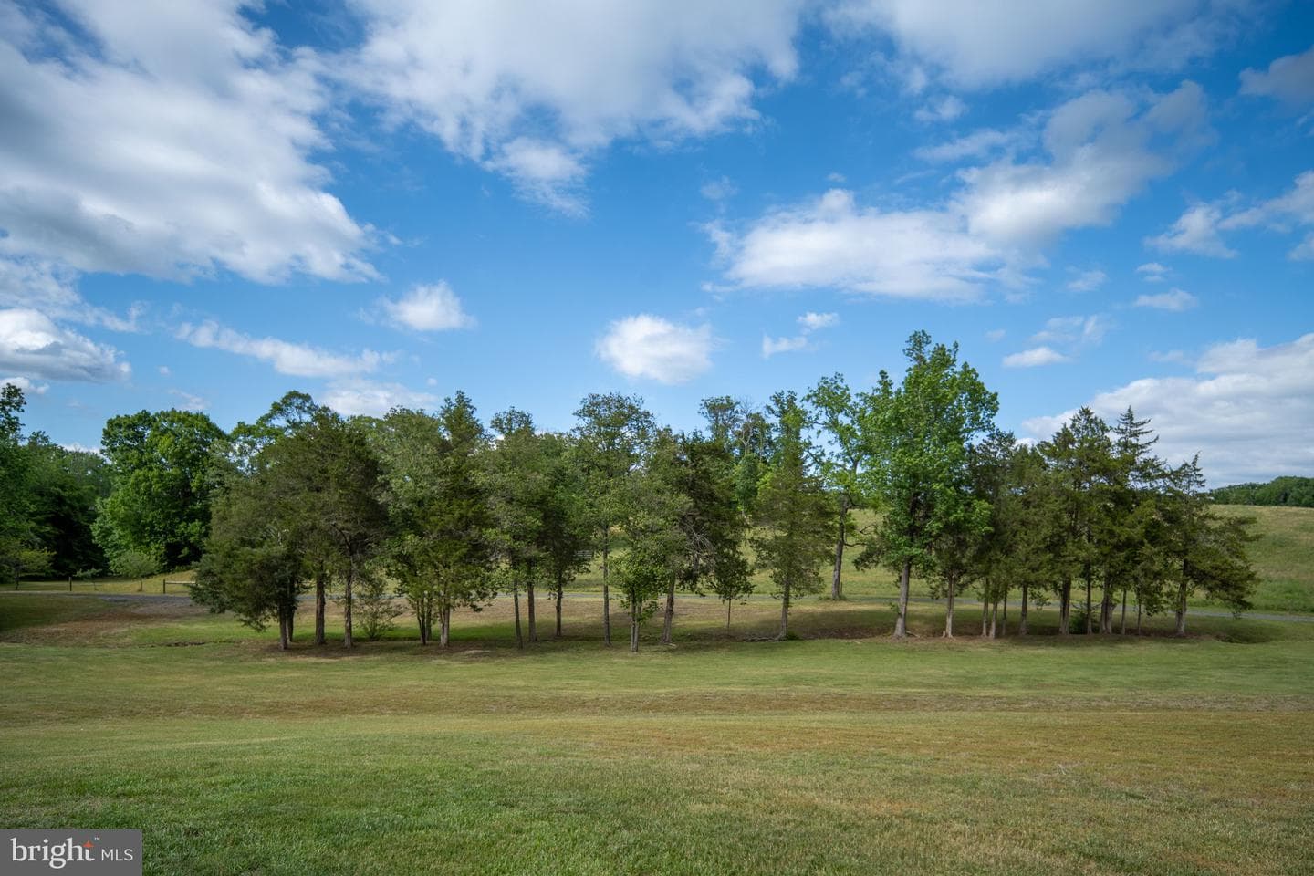 145 Forest Lane Road photo 98