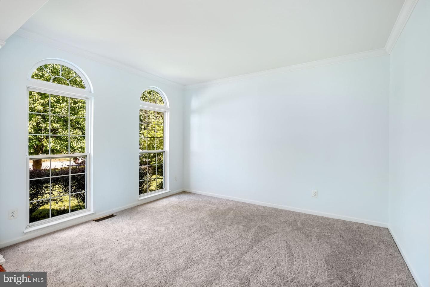 47 Montgomery Drive photo 8