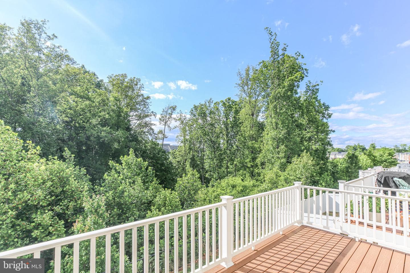 304 Tree Line Drive photo 32