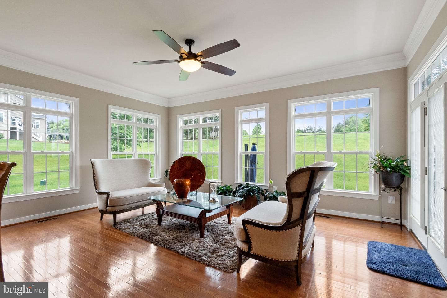 50 Lupine Drive photo 18