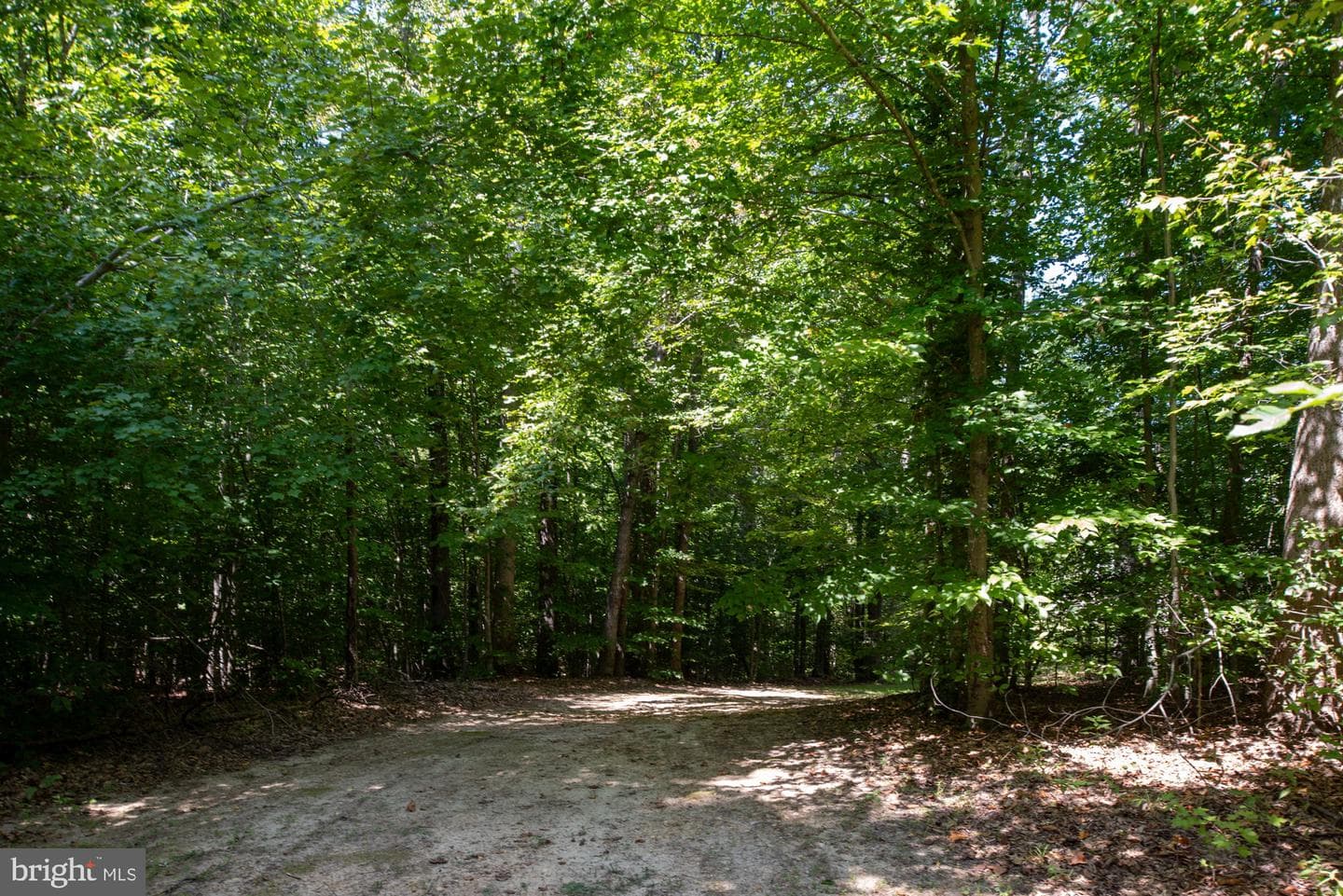425 Wakerobin Drive photo 103