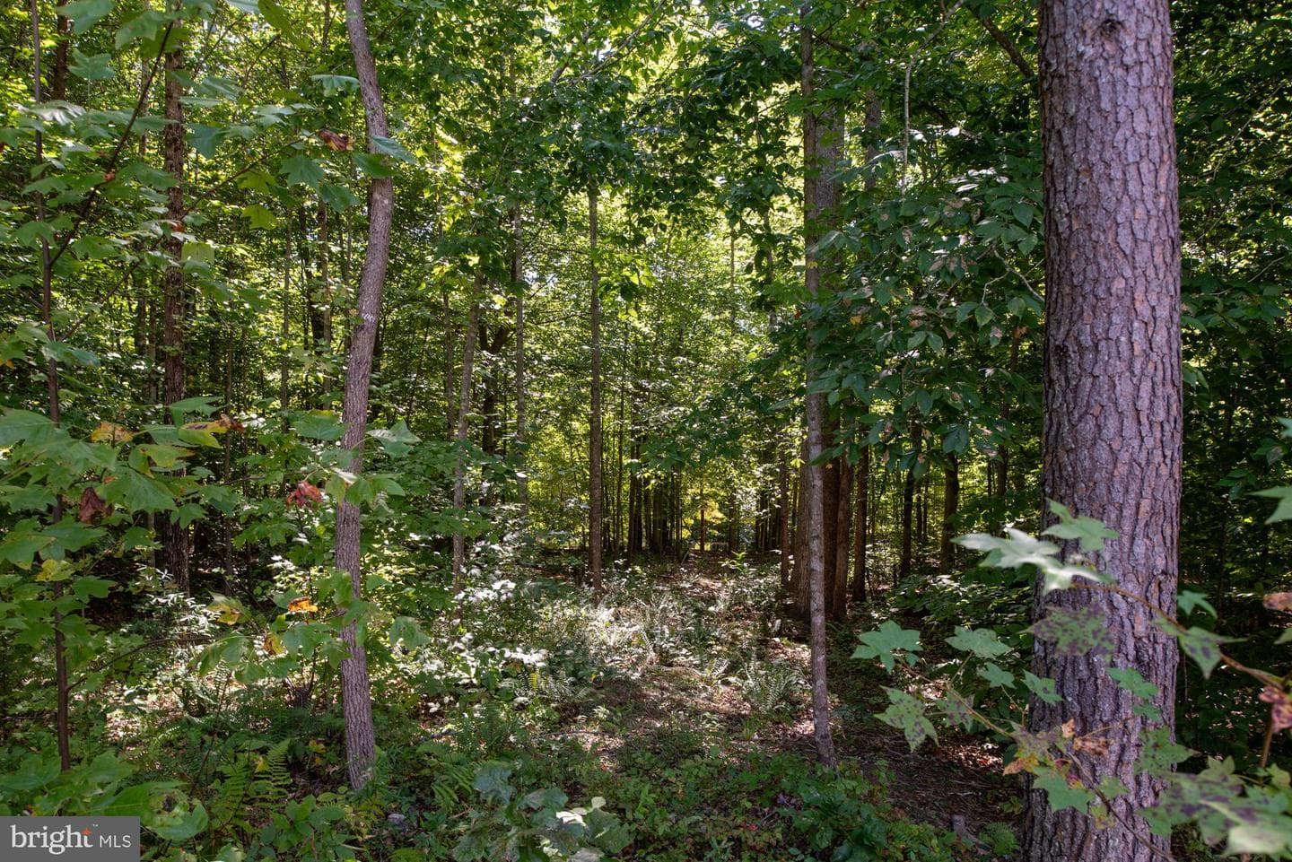 425 Wakerobin Drive photo 86