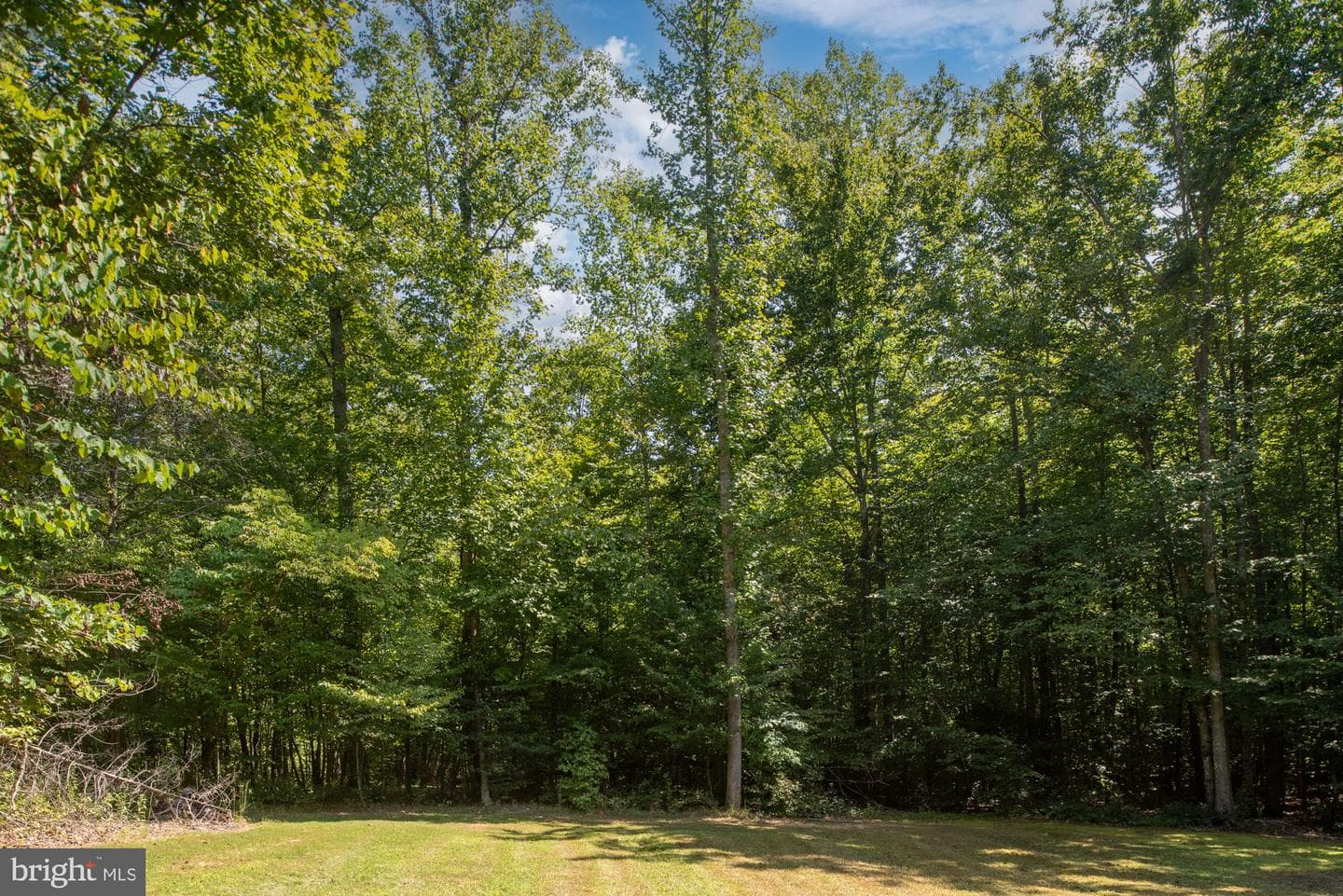 425 Wakerobin Drive photo 99