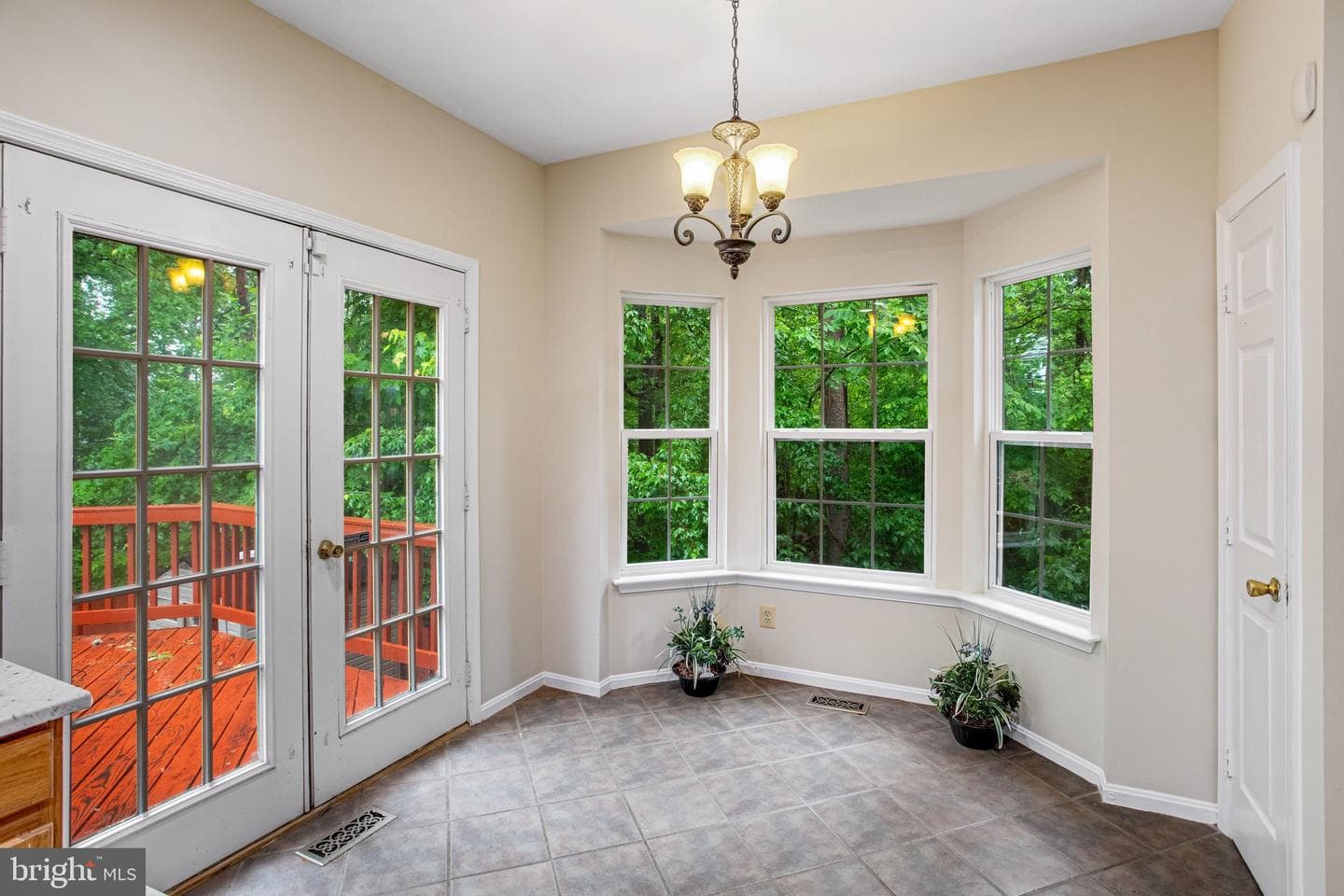 40 Catherine Lane photo 12