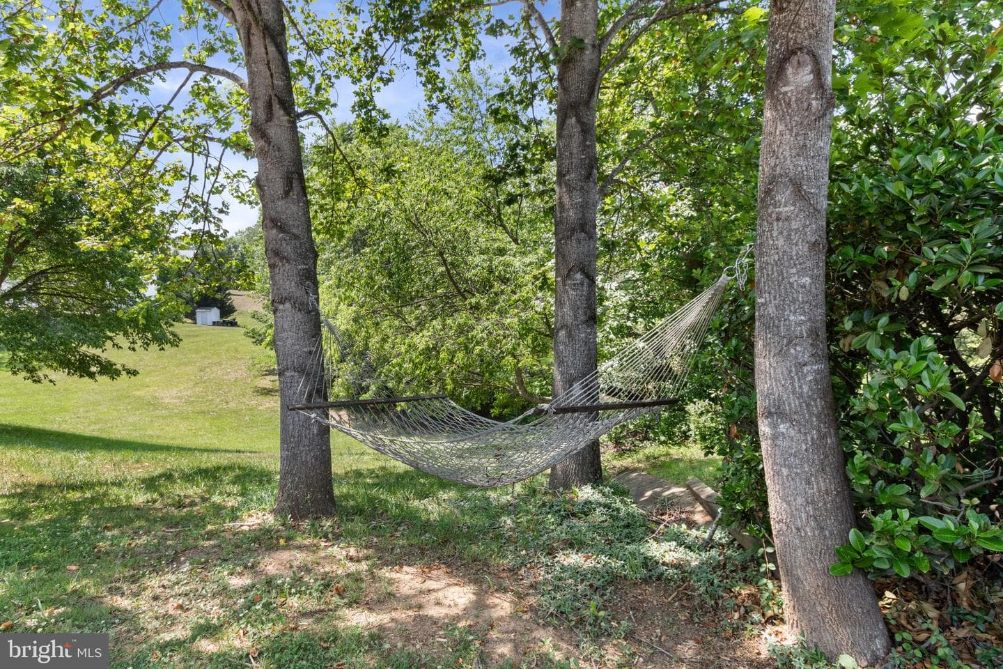 6 Newbury Drive photo 25