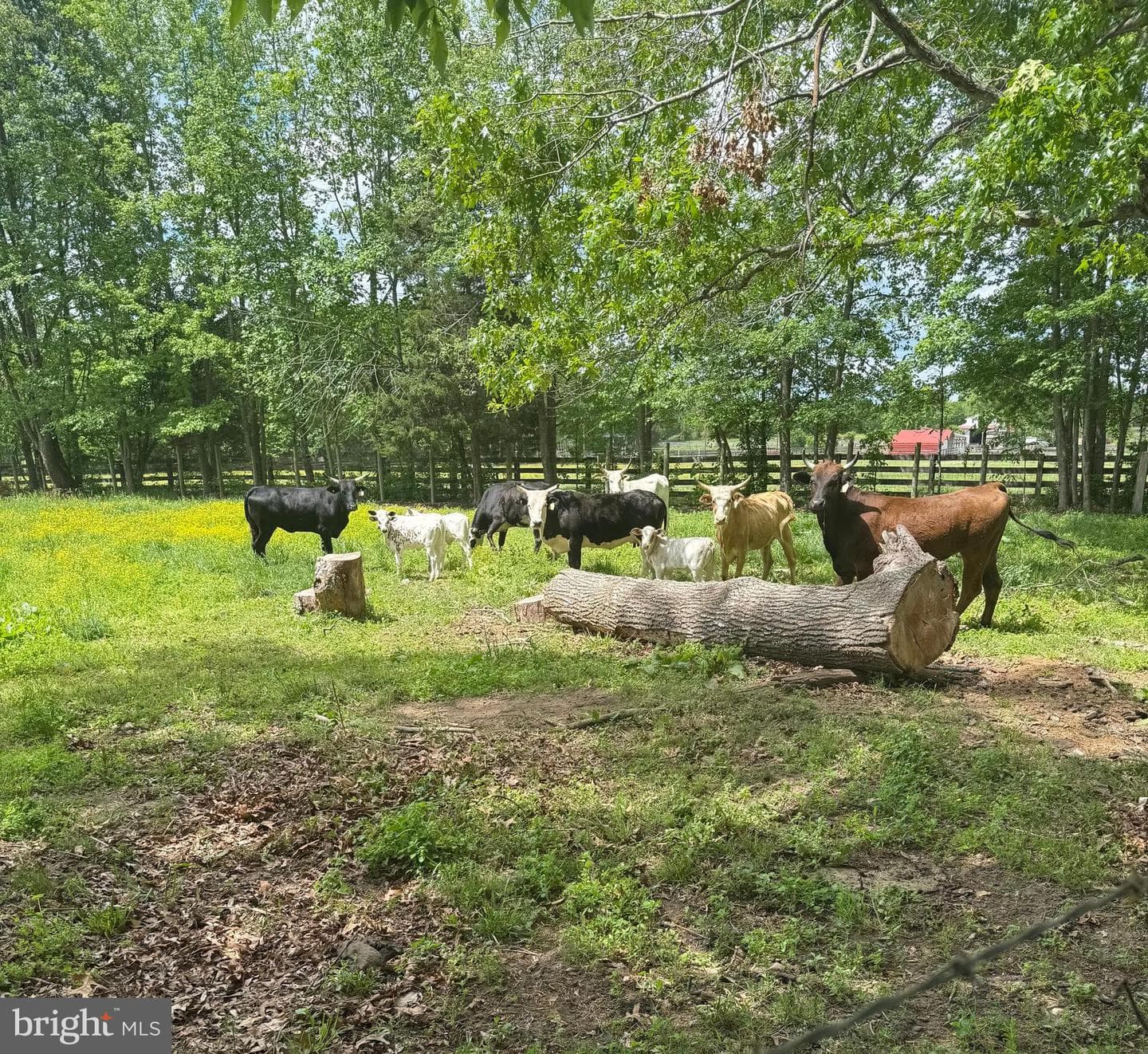 191 Moffett Lane photo 61