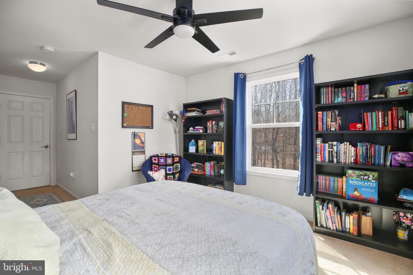 75 Orion Way photo 38