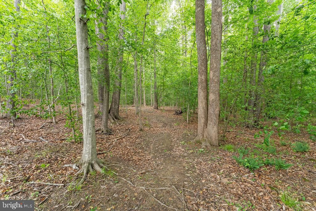75 Orion Way photo 75