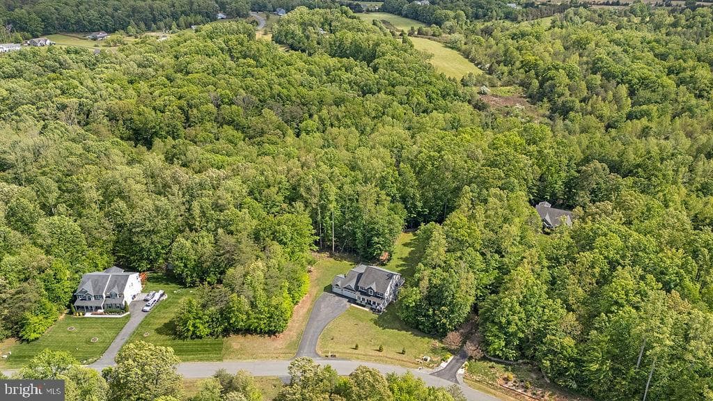 75 Orion Way photo 99