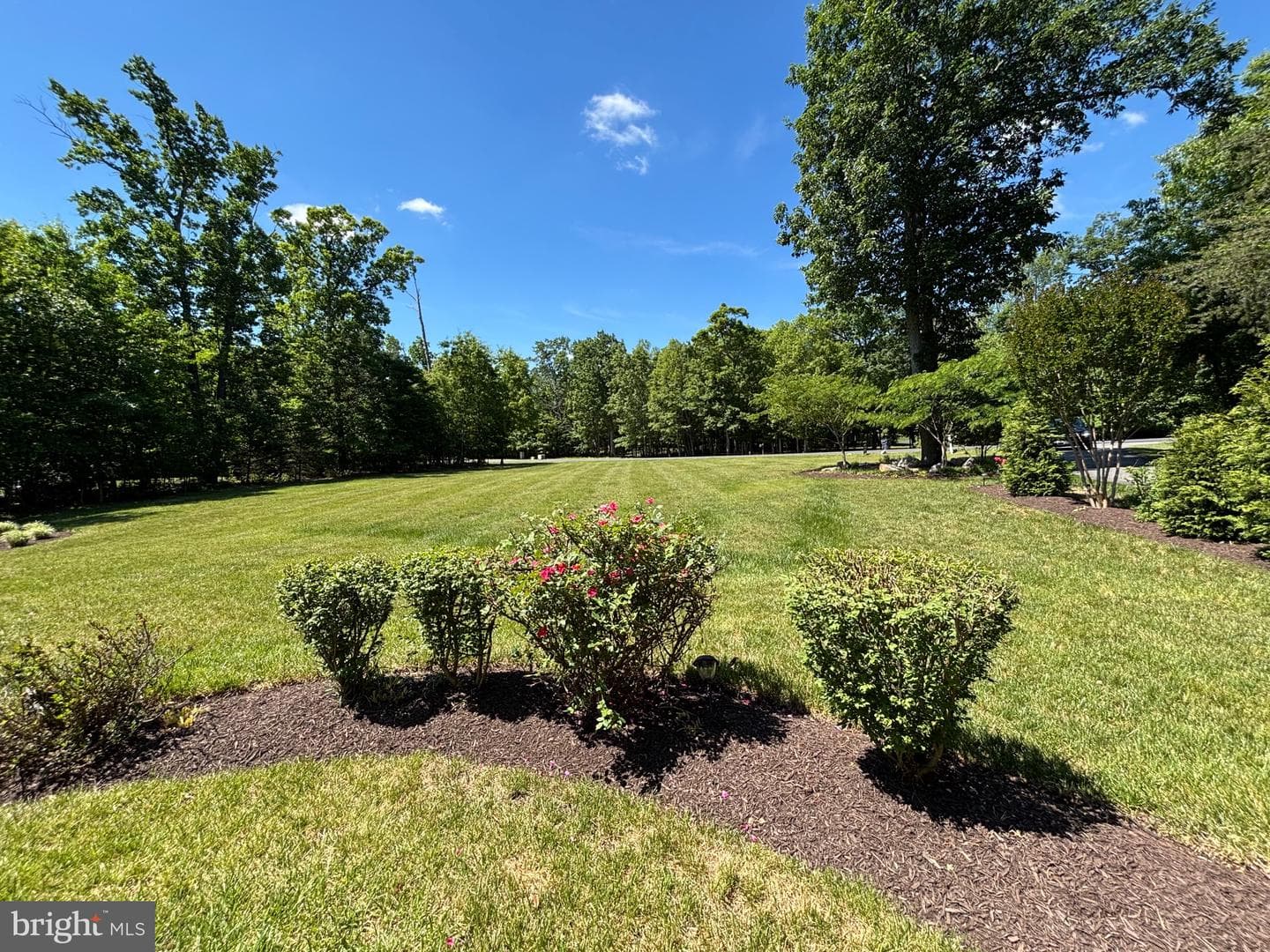 320 Gentle Breeze Circle photo 8