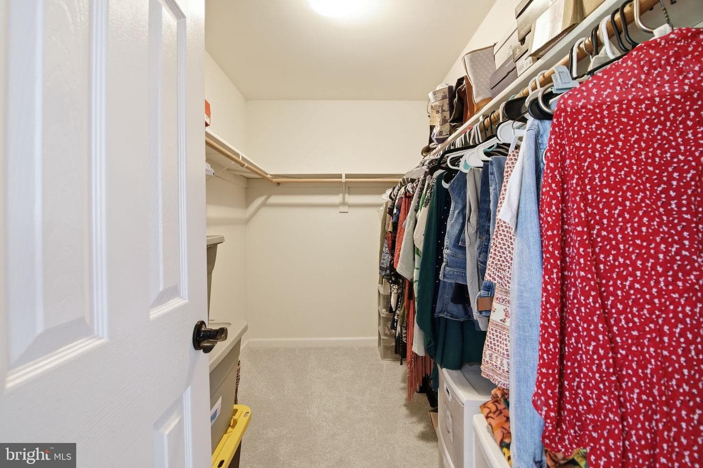 4 Bedford Court photo 21