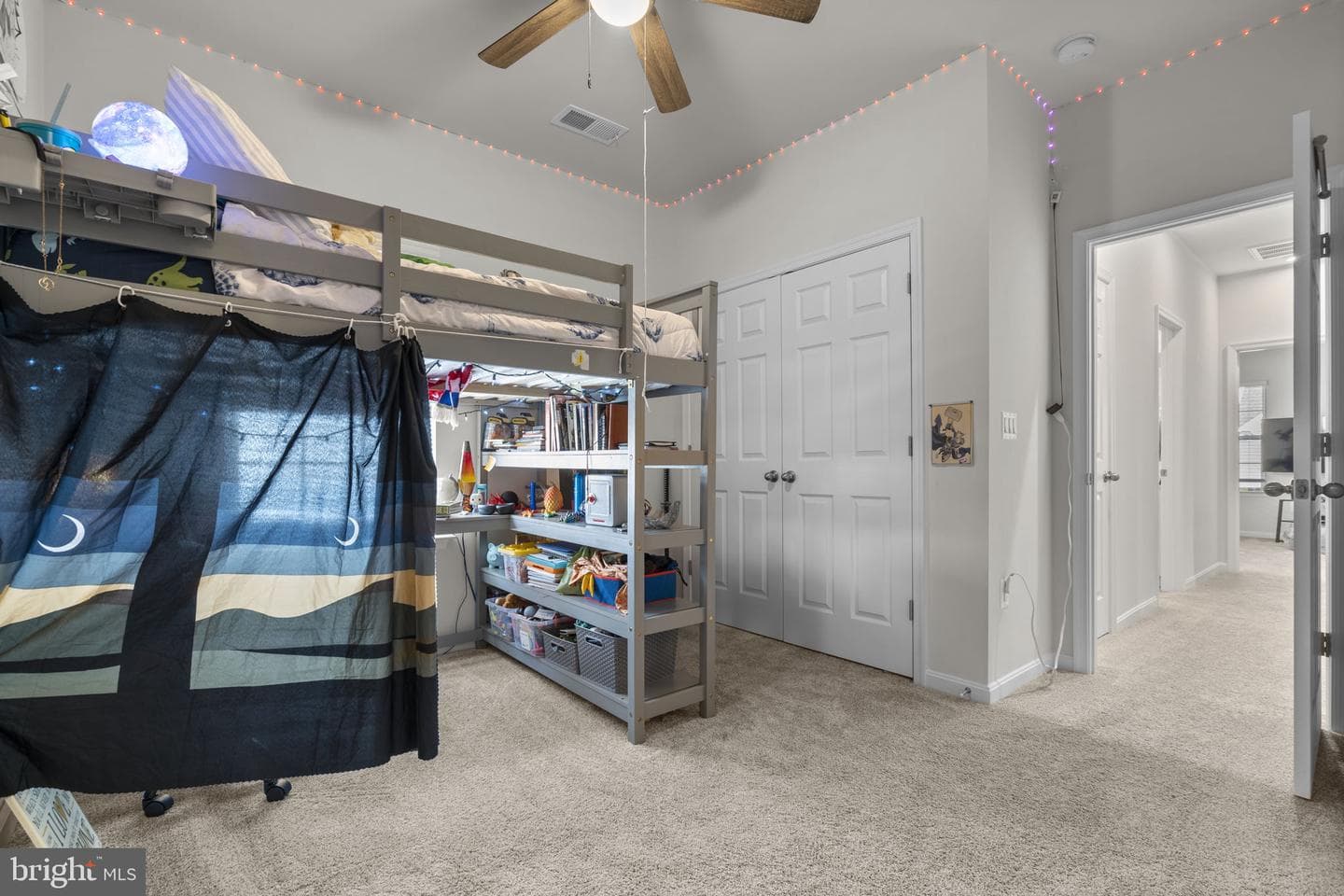 68 Snowdrop Drive photo 38