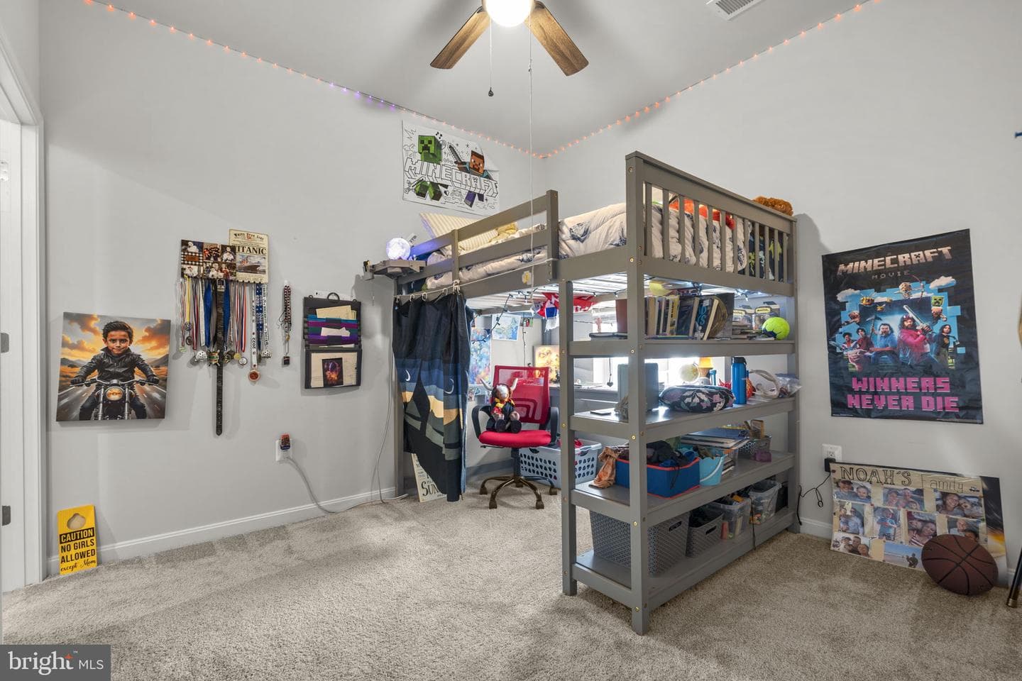 68 Snowdrop Drive photo 39
