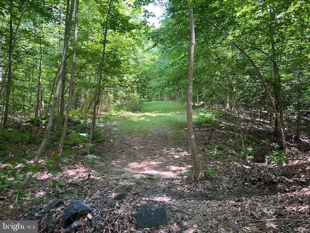 39 River Ridge Lane photo 73