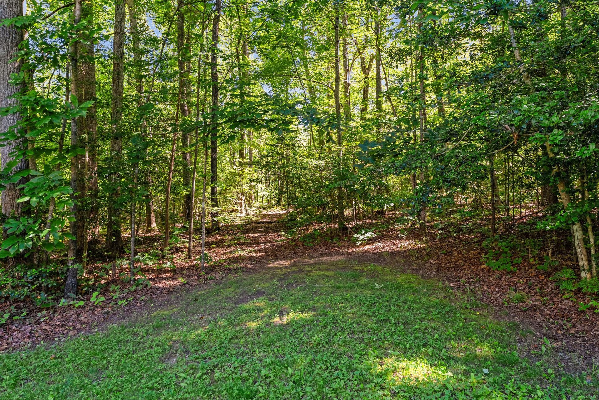 104 Tracey Lane photo 68