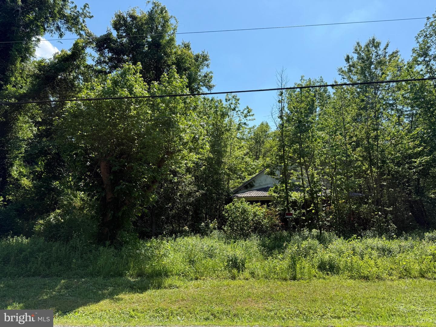 451 Hollywood Farm Road photo 3