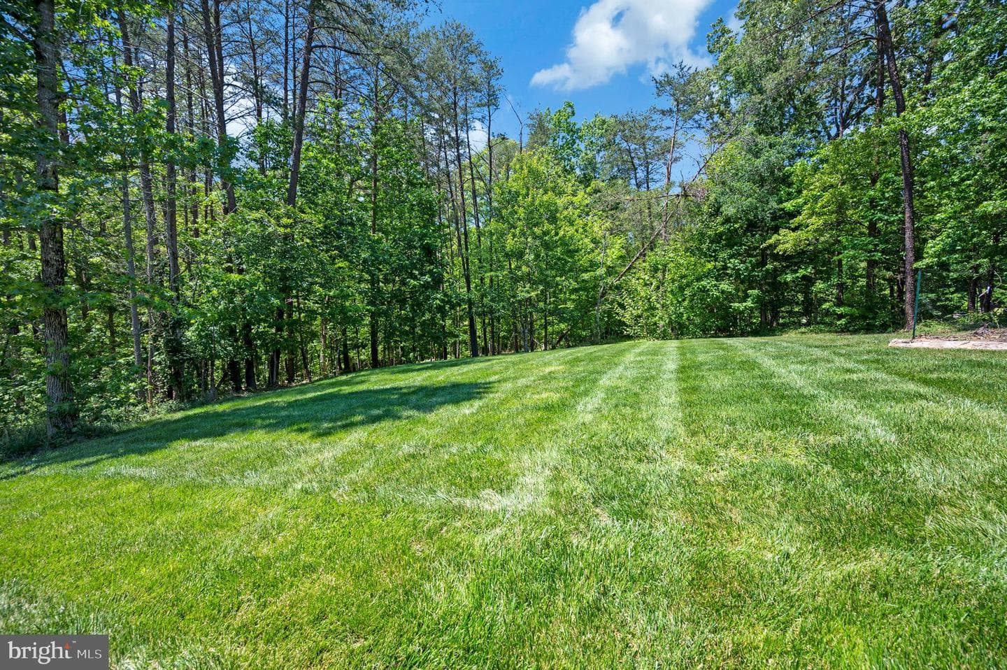 131 Arden Lane photo 76