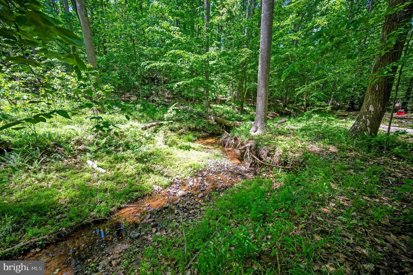 131 Arden Lane photo 80