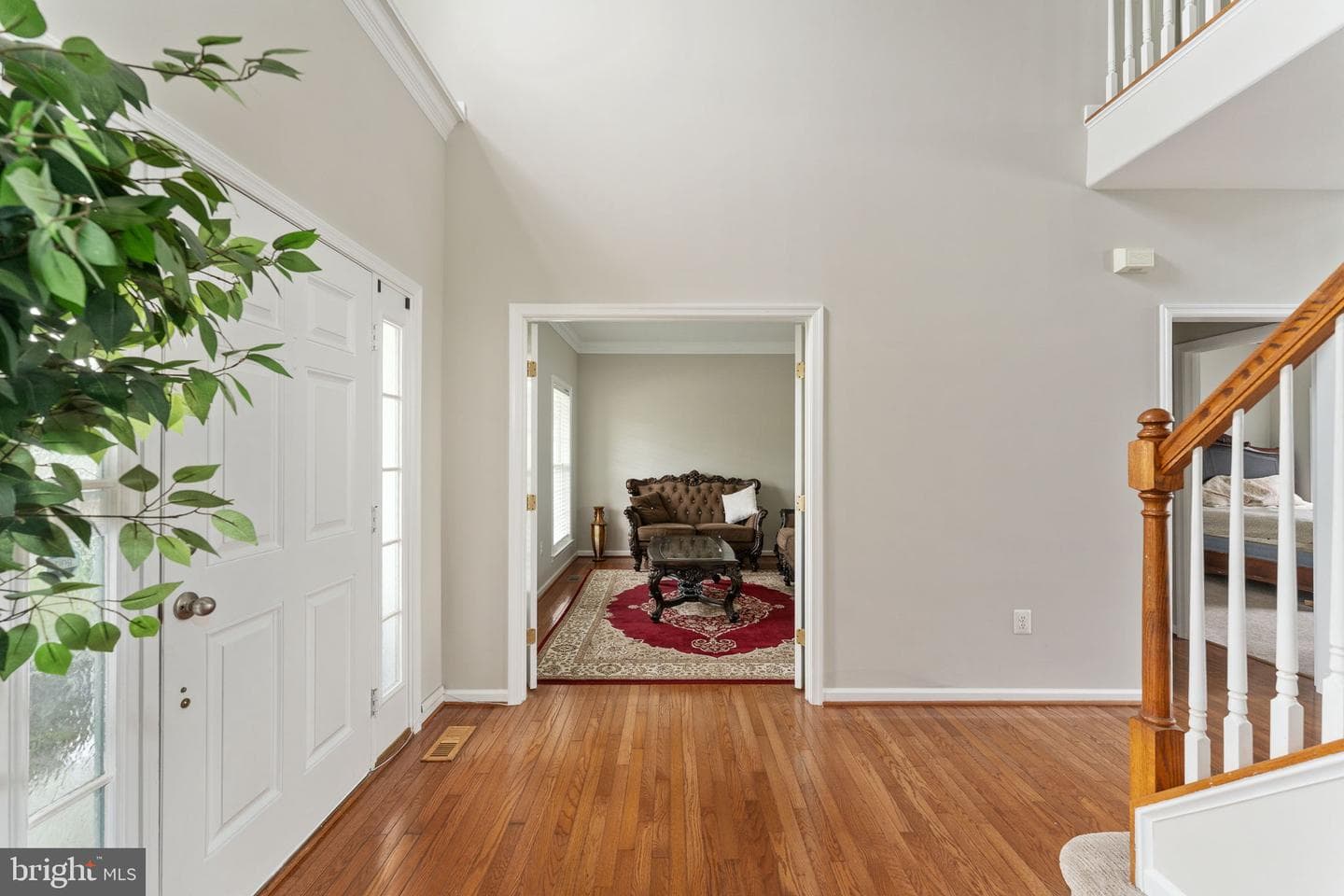 38 Fife Street photo 16