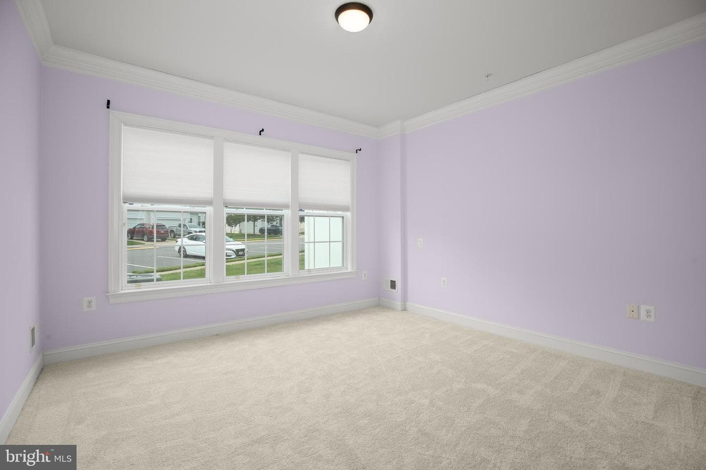 163 Castle Hill Dr photo 20