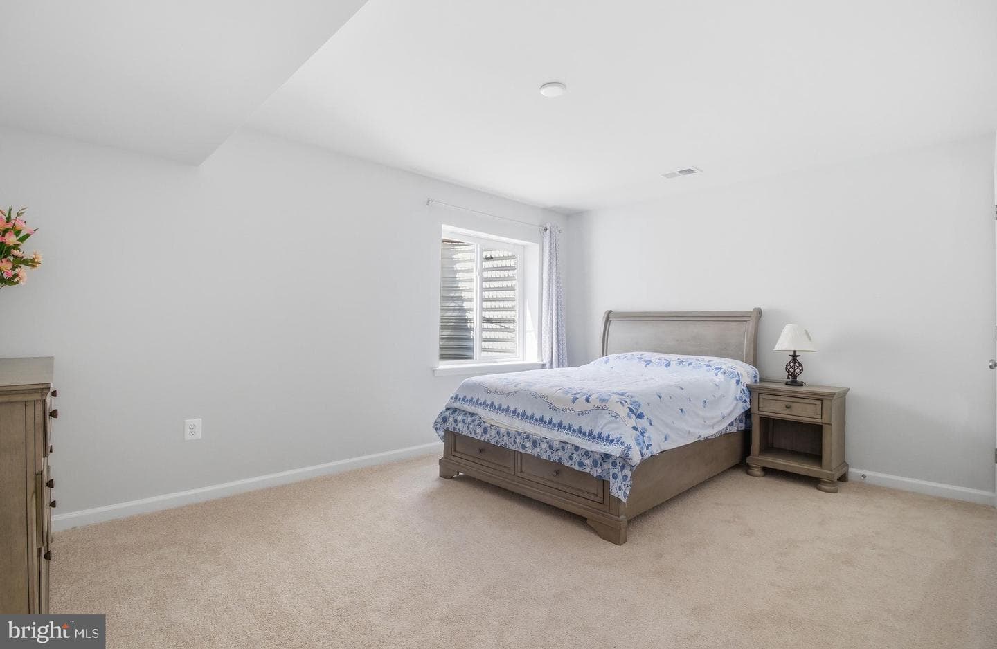 208 Coneflower Lane photo 23