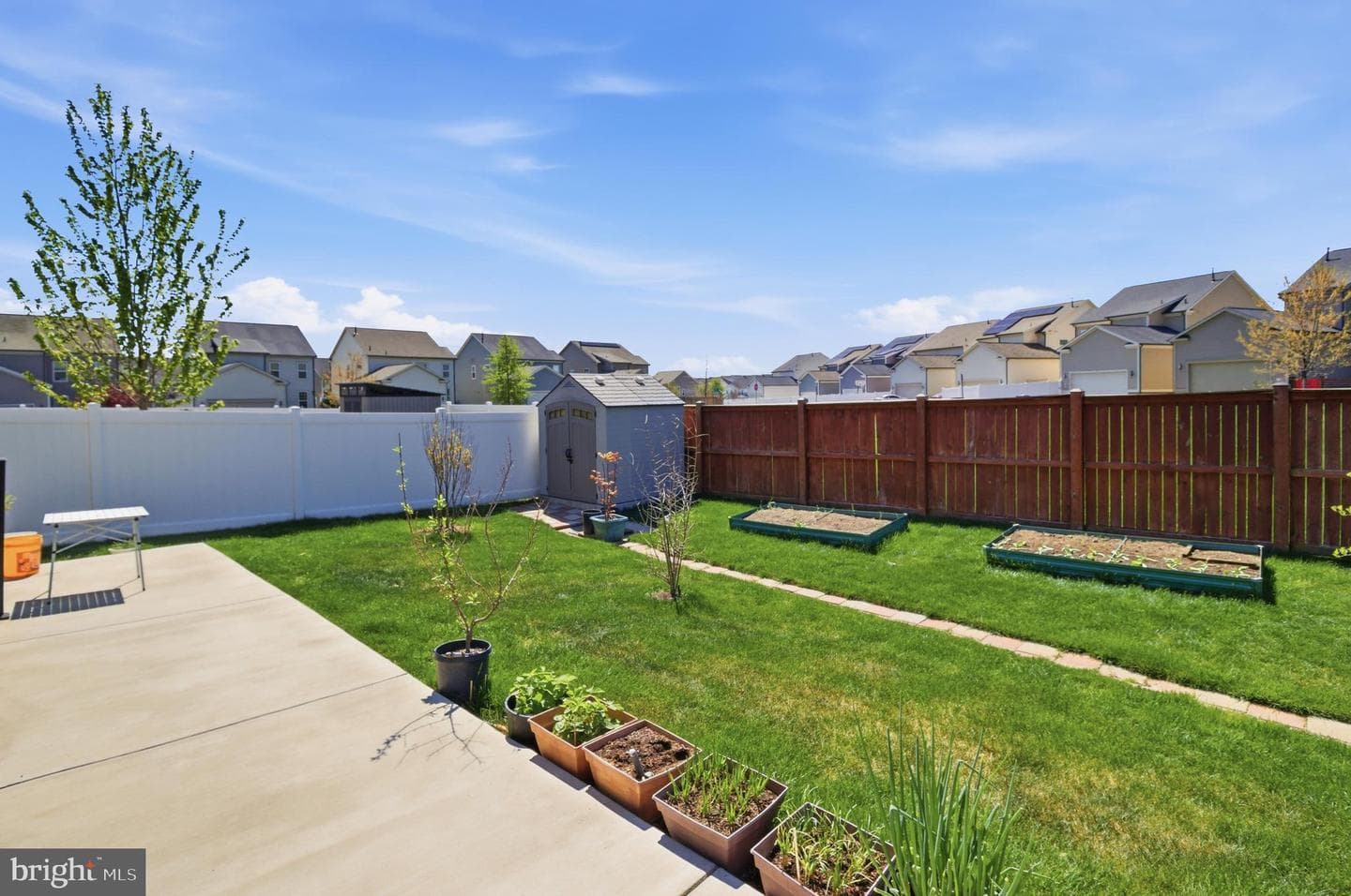 208 Coneflower Lane photo 33