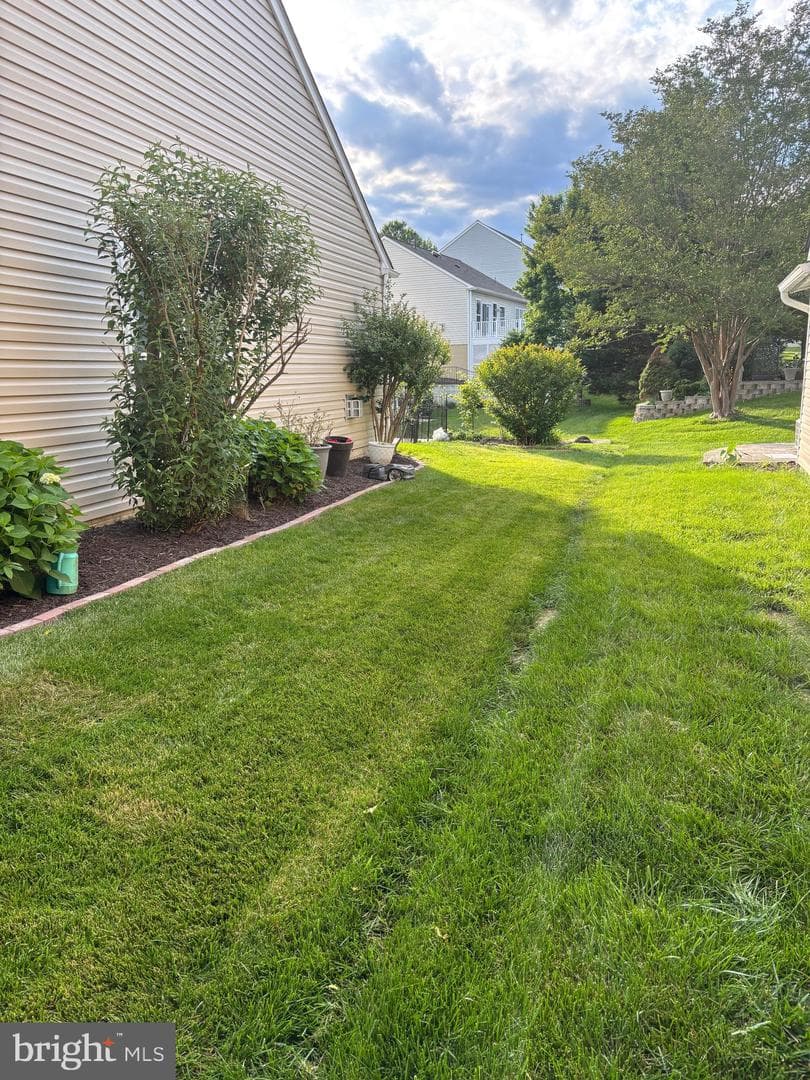 4 Carson Drive photo 5