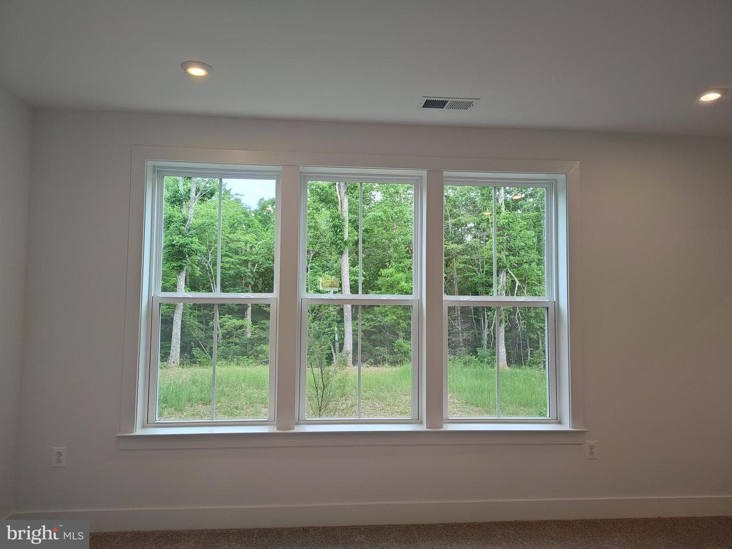 79 Valerian Loop #1 photo 22