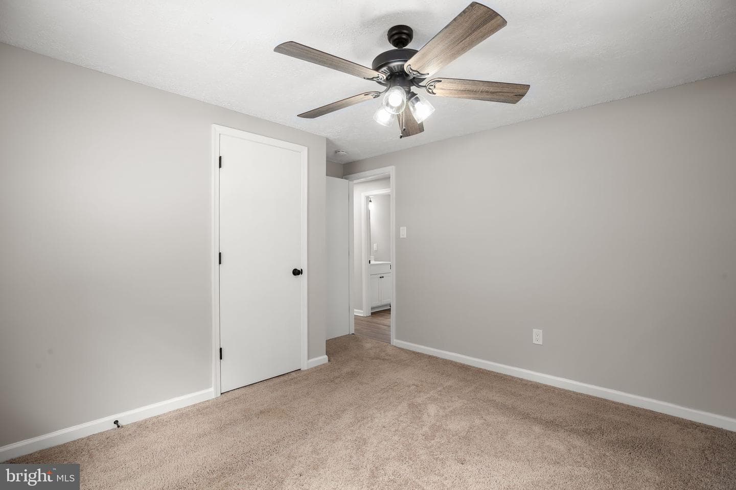 407 Smith St photo 17