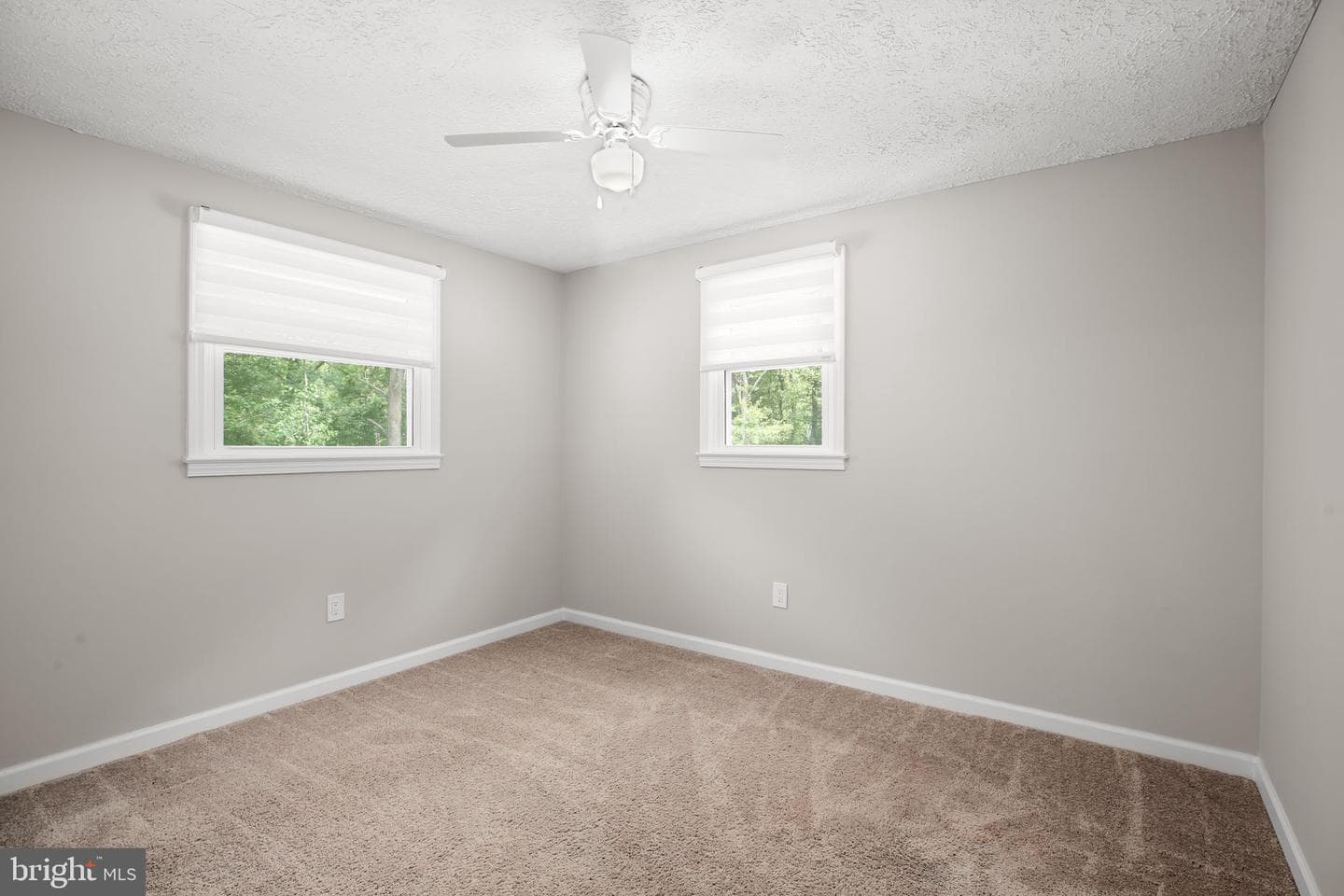 407 Smith St photo 18