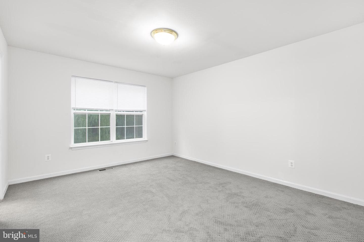 53 Bloomington Lane photo 7
