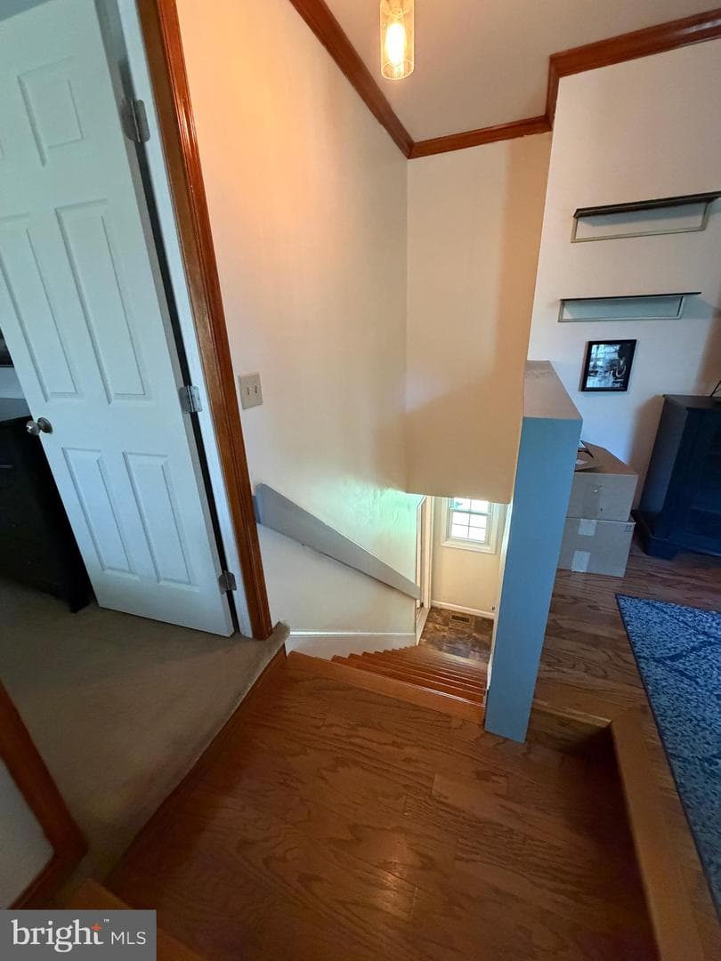 24 Braddock Drive photo 34