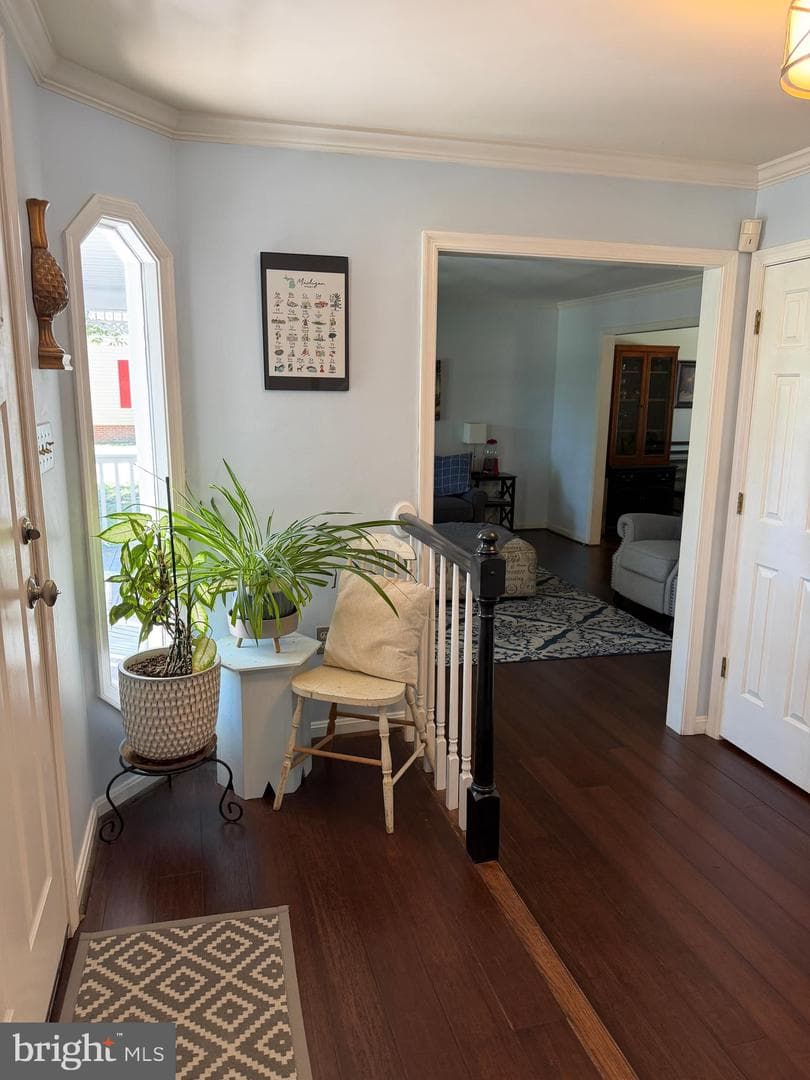 24 Braddock Drive photo 9