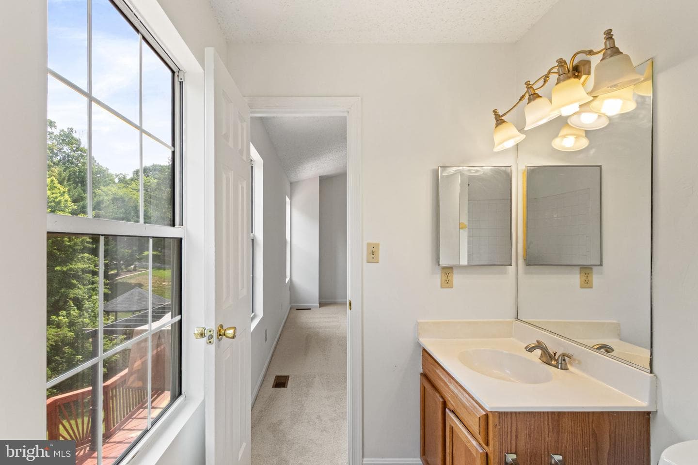 19 Puritan Pl photo 28
