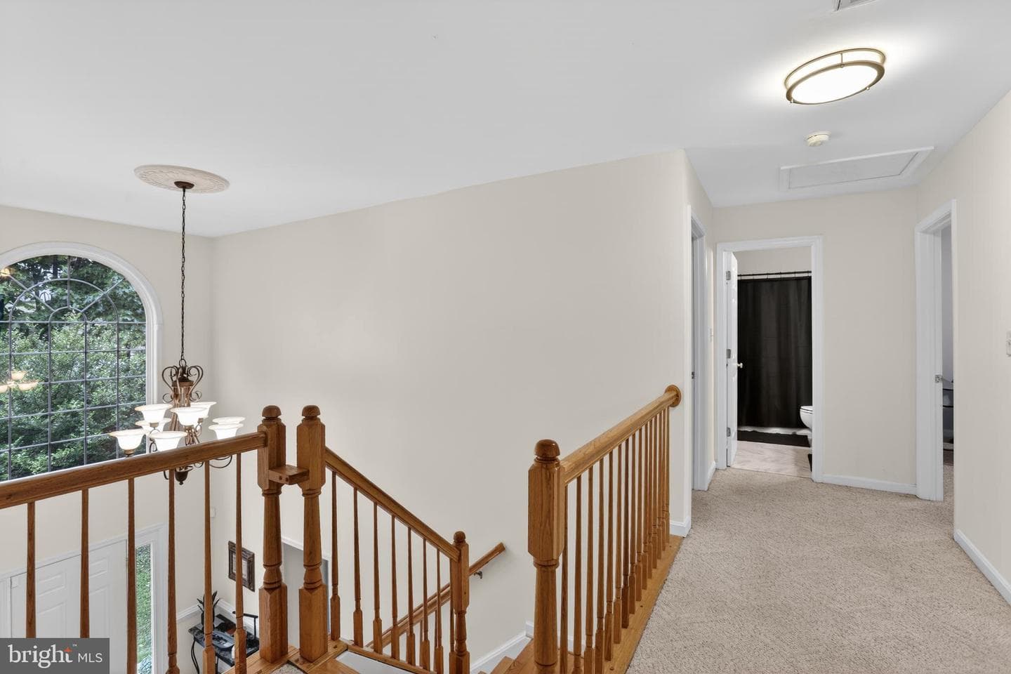 11 Holly Brooke Court photo 22