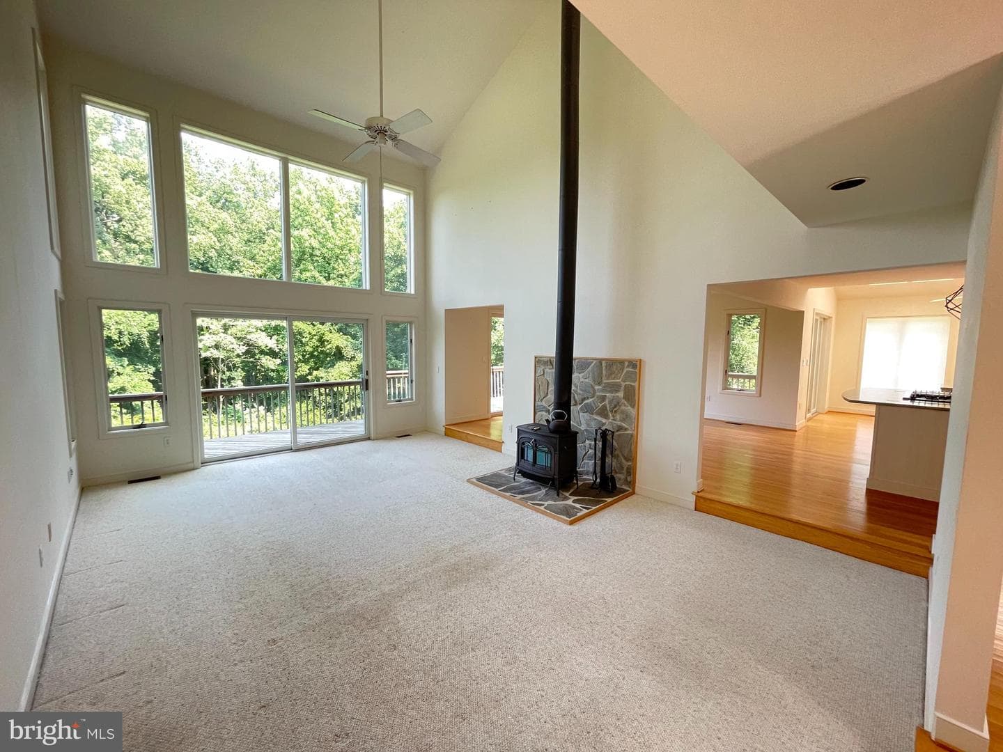 26 Cannon Bluff Drive photo 8