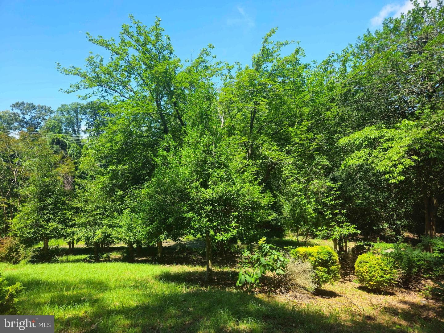 159 Olde Concord Road photo 74
