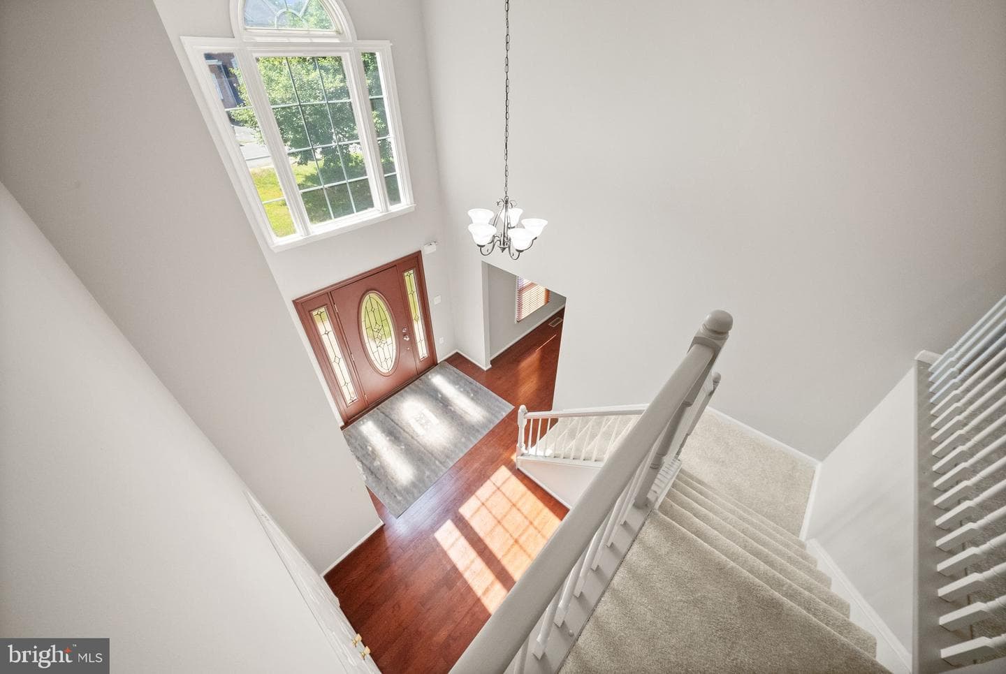 8 Willow Glen Court photo 22