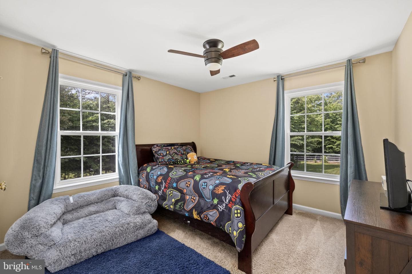32 Mills Hollow Drive photo 36